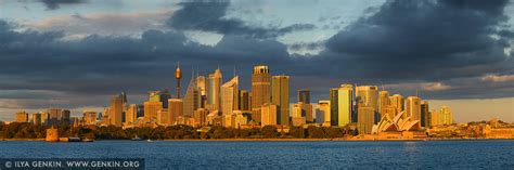 sydney city panorama  sunrise  sydney nsw australia