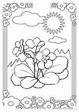 Kwiaty Wiosenne Kolorowanki Dzieci Wydrukowania sketch template
