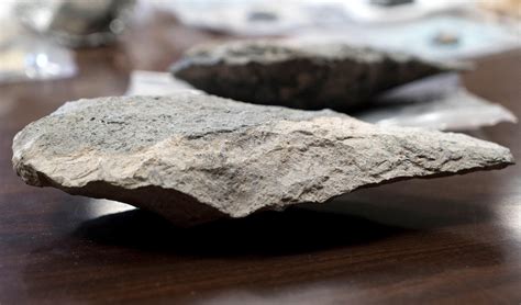 scientists  amazed  stone age tools  dug   kenya wpsu