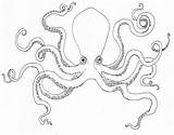 Octopus Animals Coloring sketch template