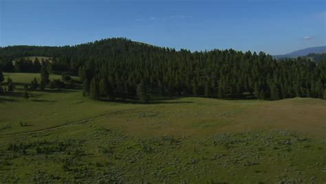 aerial shots  meadow  forest stock footage video  shutterstock