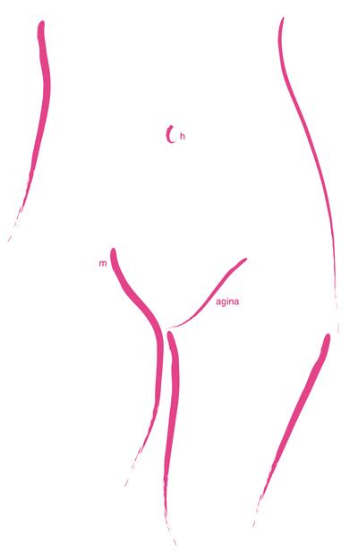 Oh My Vagina Canvas Print By A M Hall Society6