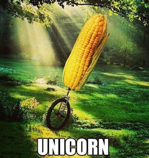 Corn On The Cob Corny Jokes Funny Puns Laugh