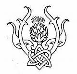 Thistle Scottish Line Drawing Celtic Tattoo Tattoos Google Symbols Search Knot Scotch Dance Simple Knotwork Coloring Embroidery Country Template Knots sketch template