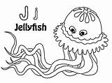 Coloring Jellyfish Pages sketch template