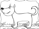 dog theme preschool activities  crafts