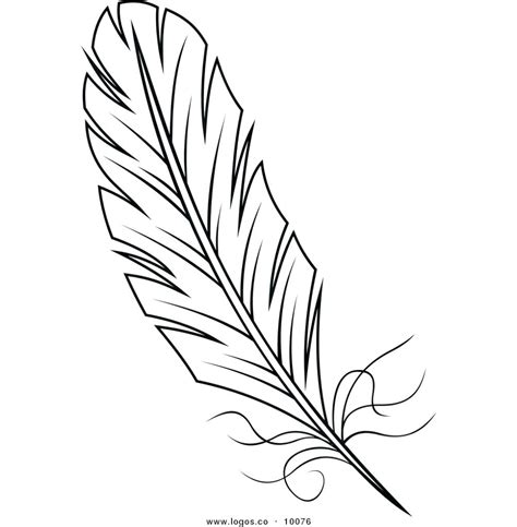 peacock feather drawing  getdrawings