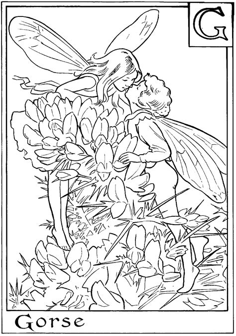 printable fairy coloring pages  kids