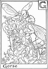 Coloring Pages Fairies Fairy Kids Gif Color sketch template