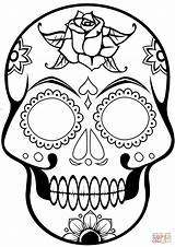 Skull Coloring Sugar Skulls Pages Calavera Drawing Simple Dia Muertos Los Printable Cool Crown Color Pirate Print Template Dead Tattoo sketch template