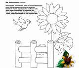 Sonnenblume Herbst Grundschule Malvorlage sketch template