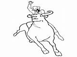 Bull Coloring Pages Printable Riding Bulls Chicago Bucking Drawing Ferdinand Matador Color Template Cowboy Sheet Draw Getdrawings Getcolorings Popular Last sketch template
