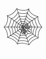 Spider Web Coloring Little Color sketch template