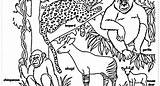 Endangered Animals Coloring Pages Extinct Species Drawing Getdrawings Getcolorings Color sketch template
