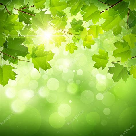 natural green background stock vector image   baks