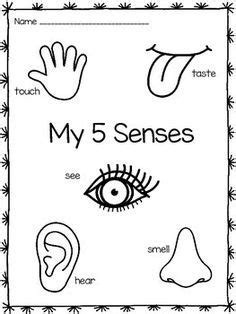 senses preschool body preschool senses preschool