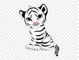Leopard Baby Snow Coloring Drawing Tiger Pages Kids Clipart sketch template