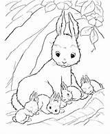 Baby Coloring Pages Bunnies Cute Getcolorings Printable sketch template