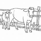 Vaca Vacas Bezerro Imitando Garfield Tudodesenhos sketch template