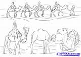 Camel Coloring Camels Caravan Desert Draw Drawing Step Animal Clipart Dragoart Drawings Animals Library 25kb 566px sketch template