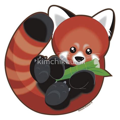 cute red panda  kimchikawaii red panda panda vinyl sticker