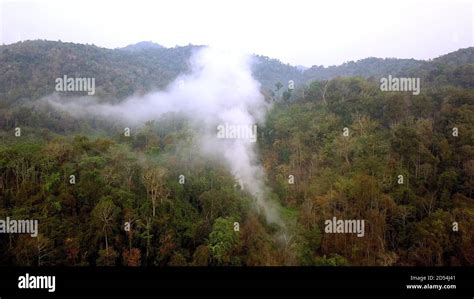 smog  forest fires deforestation  climate crisis toxic haze  rainforest fires aerial