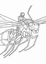 Man Ant Coloring Pages Boys Print sketch template