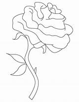 Rose Single Coloring Pages sketch template