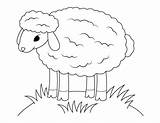 Sheep Coloring Pages Printable sketch template