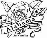 Coloring Alabama State Pages Flower Kids Drawing Flowers Central Spring Gif Print Camellias Cool Clipart Clipartmag Blossom sketch template