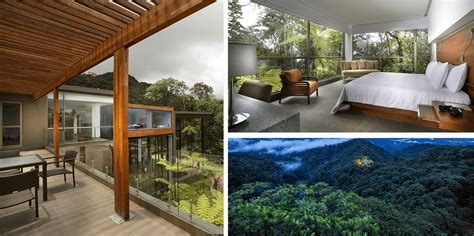 top  luxury hotels  blend  nature skyline design
