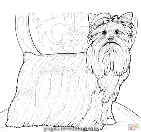 spectacular drawings  yorkshire terrier  yorkie  printable