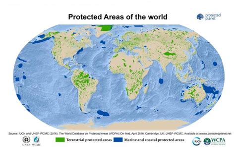 designed  connectivity  protected area systems