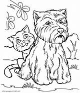 Coloring Dog Pages Cat Print Printable сat Animals Cute Find sketch template