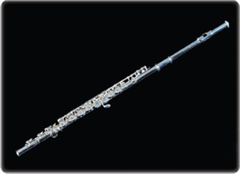 flute rental rent clean brand  flutes rentalinstrumentcom