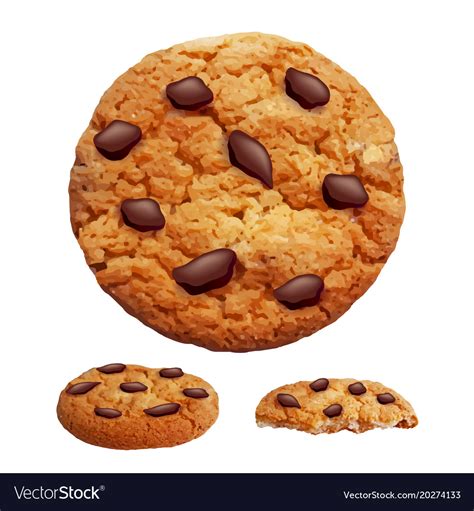 Chocolate Chip Cookies 3d Photo Realistic Vector Image