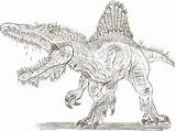 Spinosaurus Coloringtop sketch template