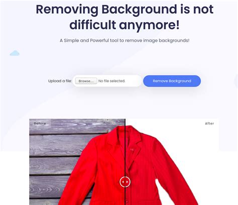 background remover net reviews  details pricing features