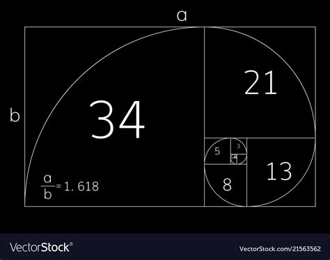 Golden Ratio Proportion Royalty Free Vector Image