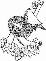 Colorat Primavara Desene Planse Cuib Randunica Printemps Fise P62 Primaverii Flori Copii Natura Păsări Anotimpuri Animale Anotimpul Lista Salvat sketch template