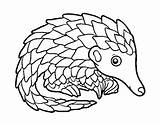 Pangolin Coloring Colorear Coloringcrew Pages User Woods Registered Colored Book Template sketch template