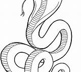 Cobra King Coloring Pages Drawing Spitting Snake Printable Color Getcolorings Getdrawings Line Clipartmag sketch template