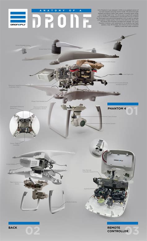 interior life   drone explained  infographic  drive