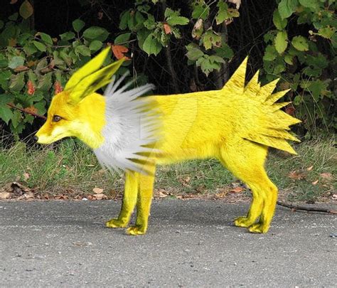 jolteon  matthewsheffield  deviantart