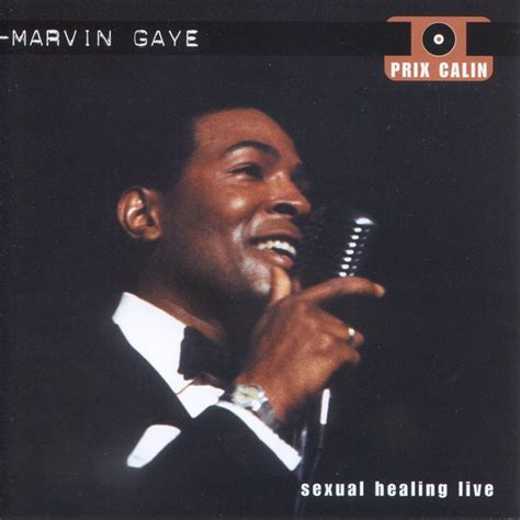 Marvin Gaye Sexual Healing Live 2002 Cd Discogs