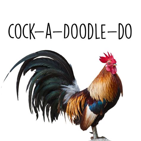 cock a doodle do martine gallery sydney nursery and