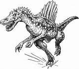Spinosaurus Rex Colouring Btte Tyrannosaurus Birijus Library Clipart sketch template
