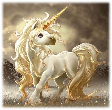 unicorn fantasy photo  fanpop