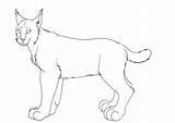 Lynx Lineart Kaeda Adoptables Deviantart sketch template
