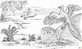 Archaeopteryx Compsognathus Ausmalbild Flugsaurier Microraptor Dinosaur Dinosaurier Malvorlage Supercoloring Pterodactyl Raptor sketch template